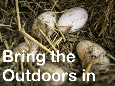 Limited outdoor space - Outdoor learning using the indoors