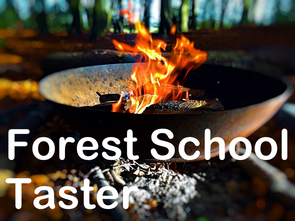 Forest School Taster